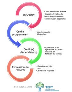 cycle du biochoc dans le décodage biologique TEFT